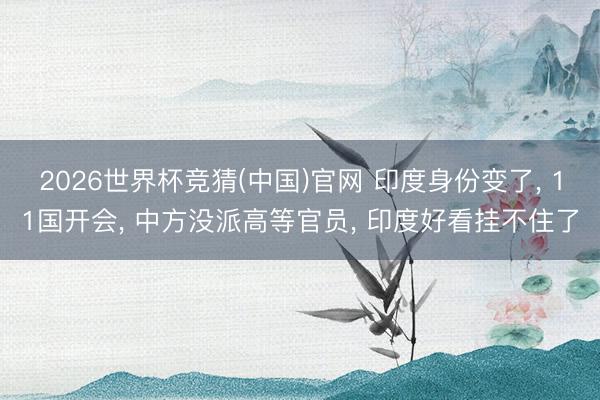 2026世界杯竞猜(中国)官网 印度身份变了， 11国开会， 中方没派高等官员， 印度好看挂不住了