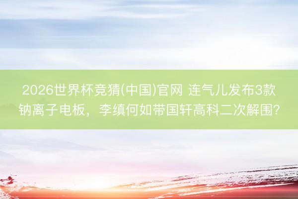 2026世界杯竞猜(中国)官网 连气儿发布3款钠离子电板，李缜何如带国轩高科二次解围？