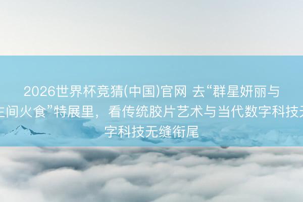 2026世界杯竞猜(中国)官网 去“群星妍丽与东说念主间火食”特展里，看传统胶片艺术与当代数字科技无缝衔尾