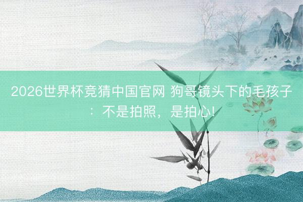 2026世界杯竞猜中国官网 狗哥镜头下的毛孩子：不是拍照，是拍心!