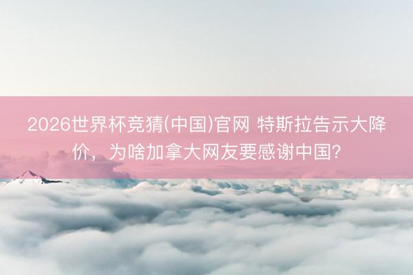 2026世界杯竞猜(中国)官网 特斯拉告示大降价，为啥加拿大网友要感谢中国？