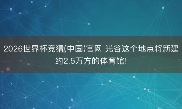 2026世界杯竞猜(中国)官网 光谷这个地点将新建约2.5万方的体育馆!