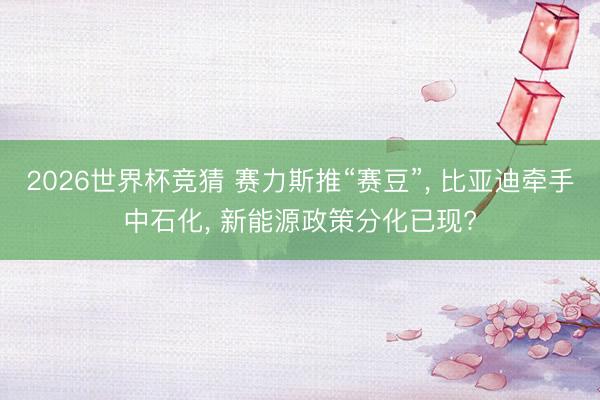 2026世界杯竞猜 赛力斯推“赛豆”， 比亚迪牵手中石化， 新能源政策分化已现?