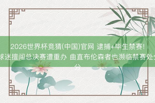 2026世界杯竞猜(中国)官网 逮捕+毕生禁赛! 球迷擅闯总决赛遭重办 曲直布伦森者也濒临禁赛处分
