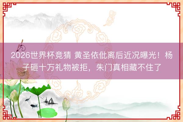 2026世界杯竞猜 黄圣依仳离后近况曝光！杨子砸十万礼物被拒，朱门真相藏不住了