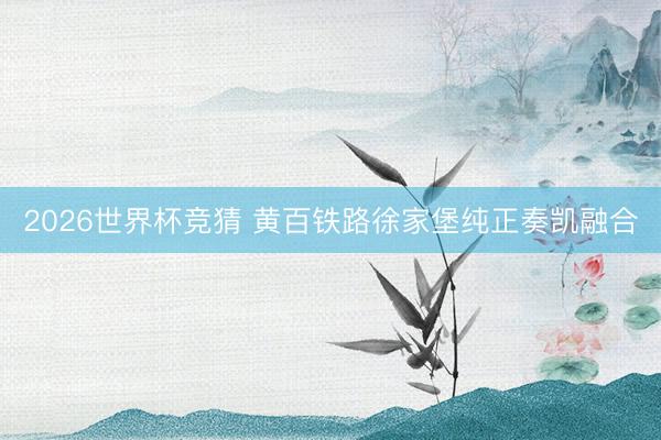 2026世界杯竞猜 黄百铁路徐家堡纯正奏凯融合