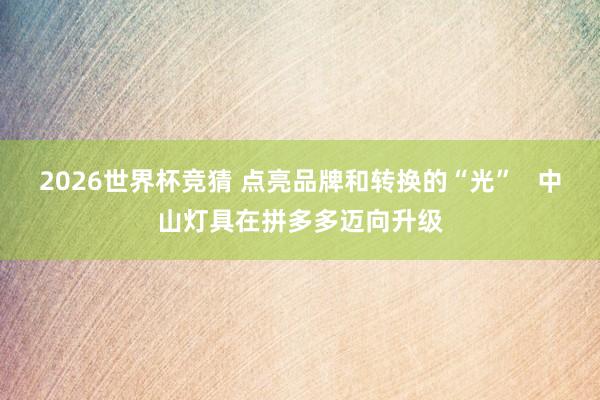 2026世界杯竞猜 点亮品牌和转换的“光”   中山灯具在拼多多迈向升级
