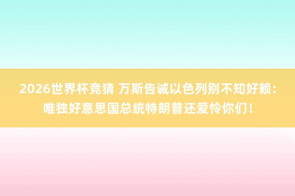 2026世界杯竞猜 万斯告诫以色列别不知好赖：唯独好意思国总统特朗普还爱怜你们！