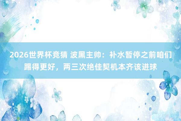 2026世界杯竞猜 波黑主帅:补水暂停之前咱们踢得更好,两三次绝佳契机本齐该进球